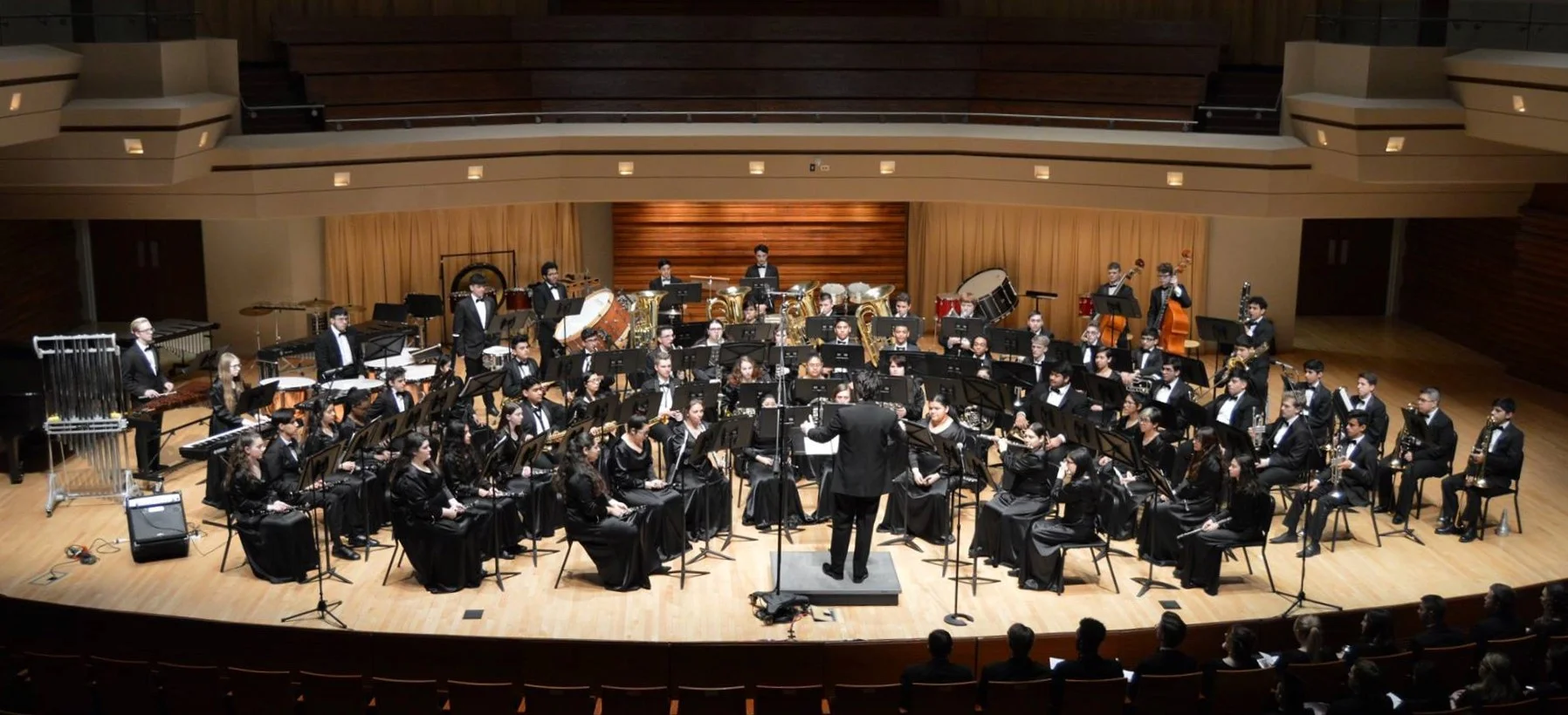 Band Wide shot.jpg
