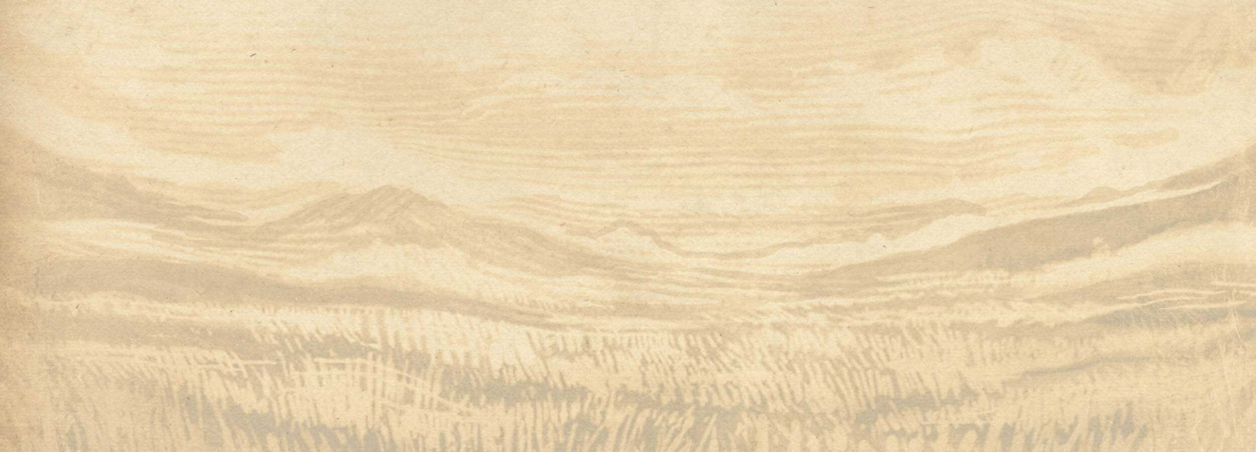 i-BD-web-WheatField-OnTanTexture-BCKGRD-2500x900-Low-v1.jpg
