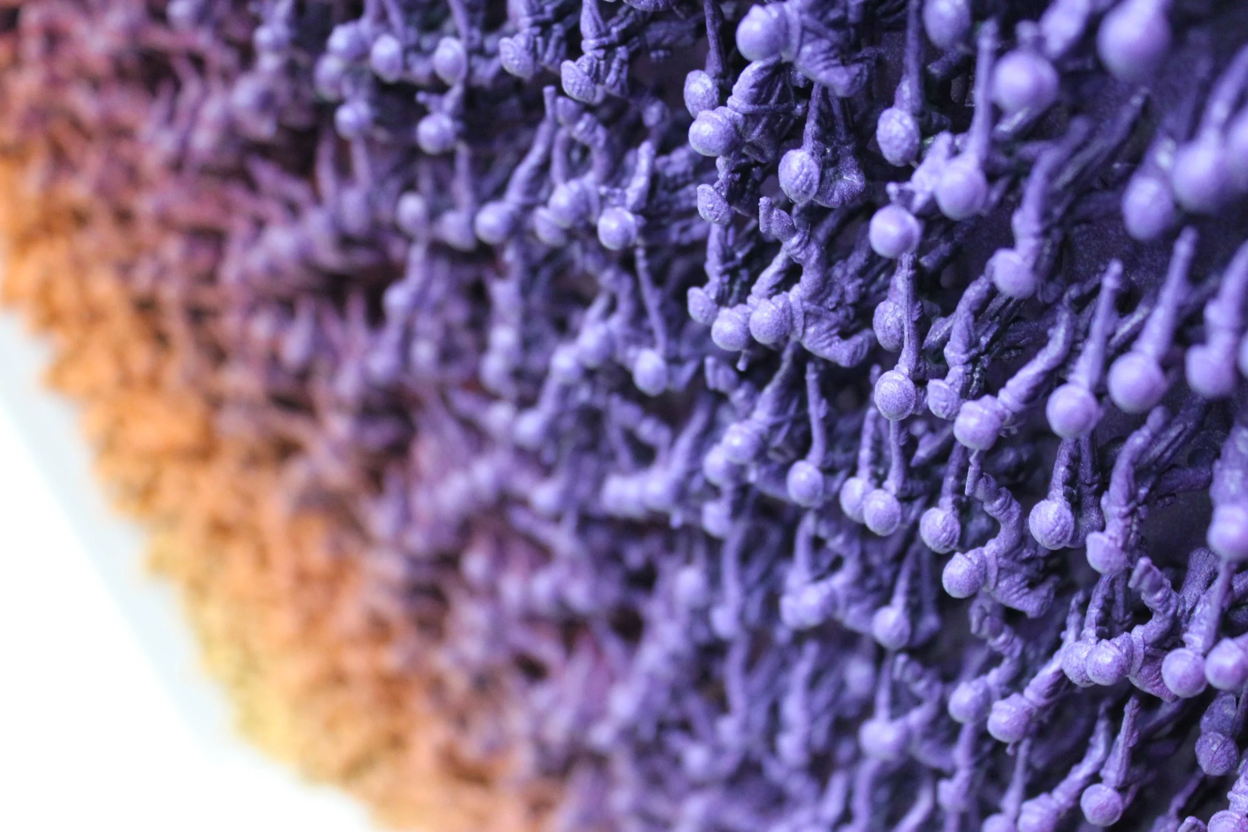 gradientAAF_1 detail1.jpg