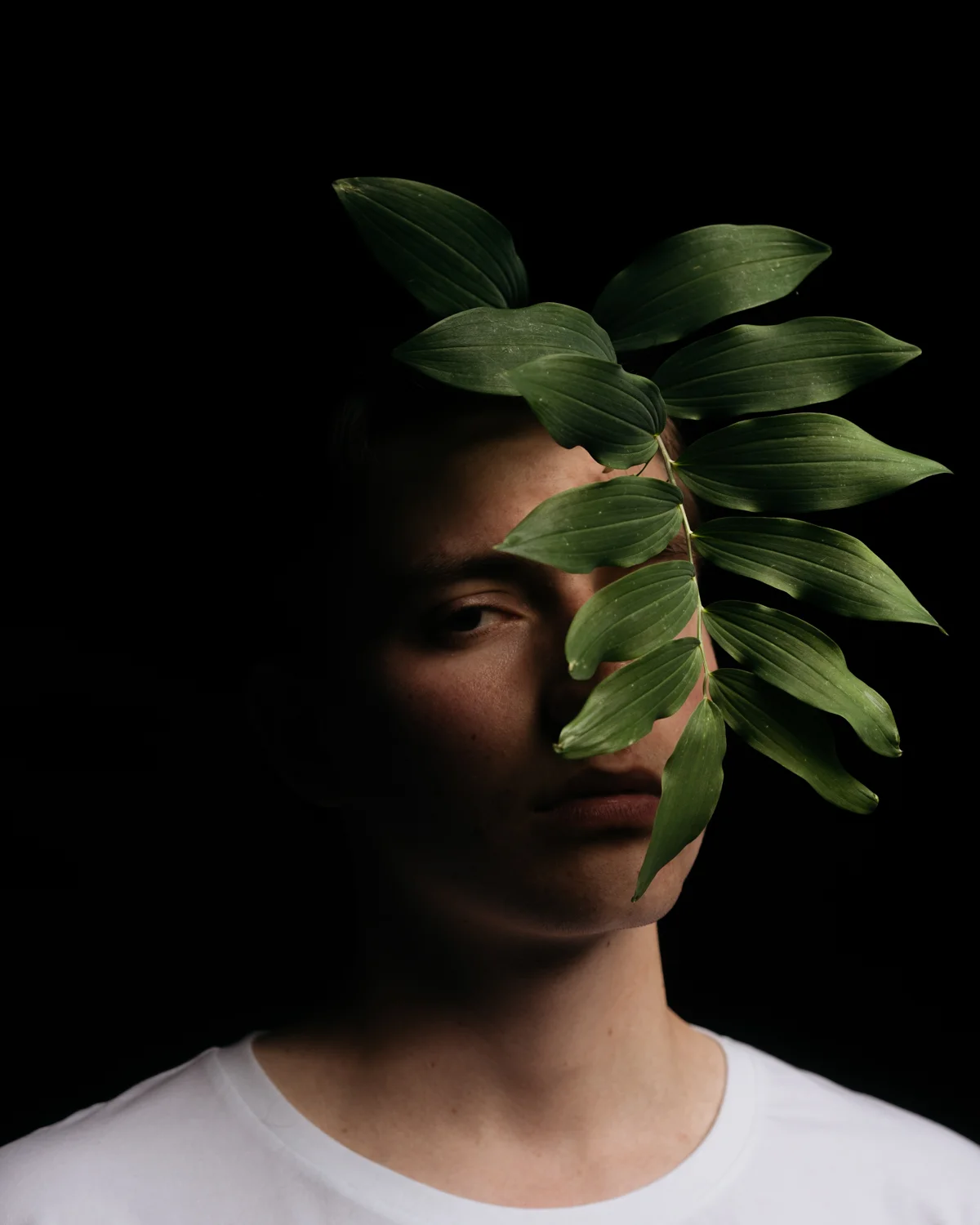 leaf-web-3.jpg