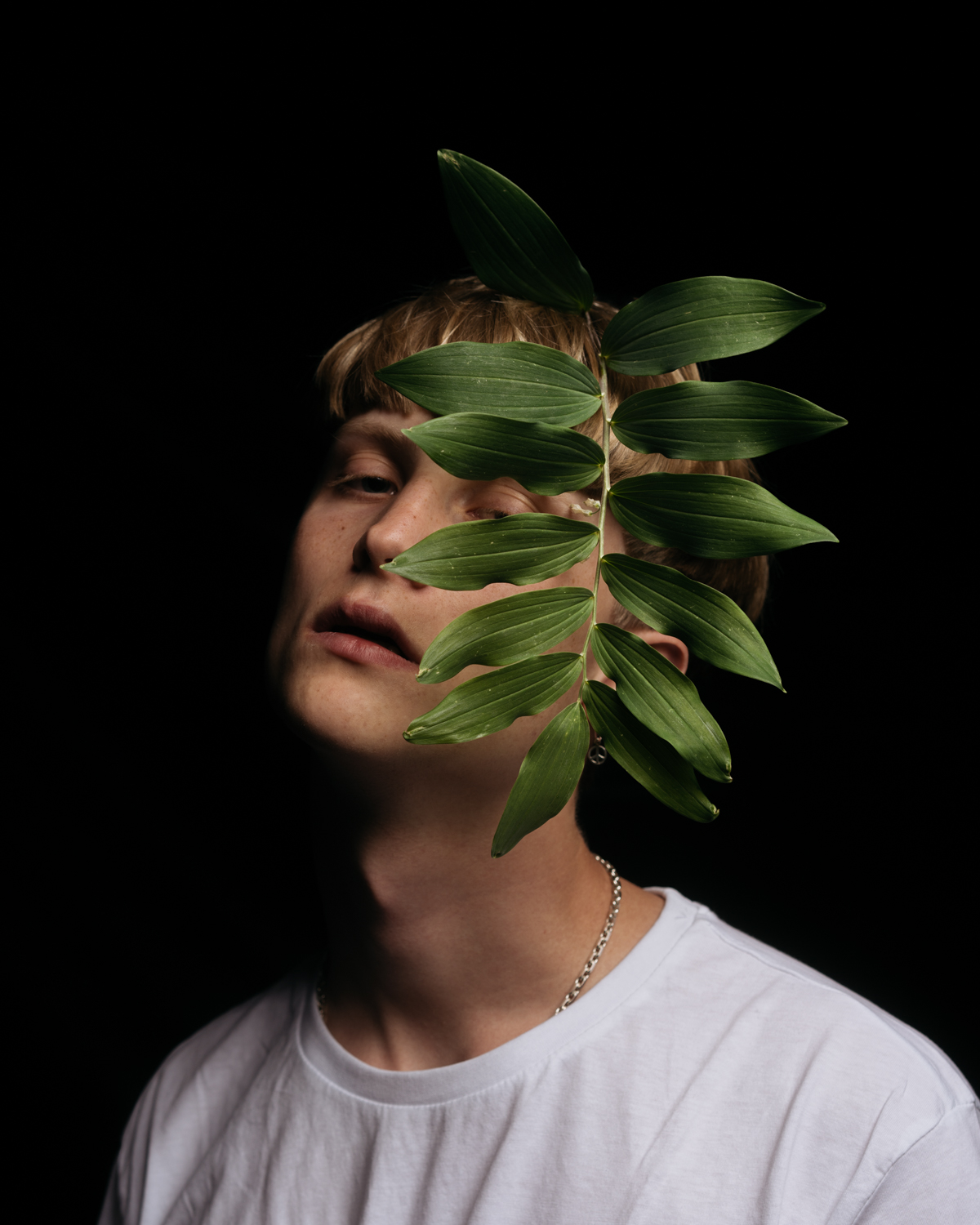 leaf-web-5.jpg