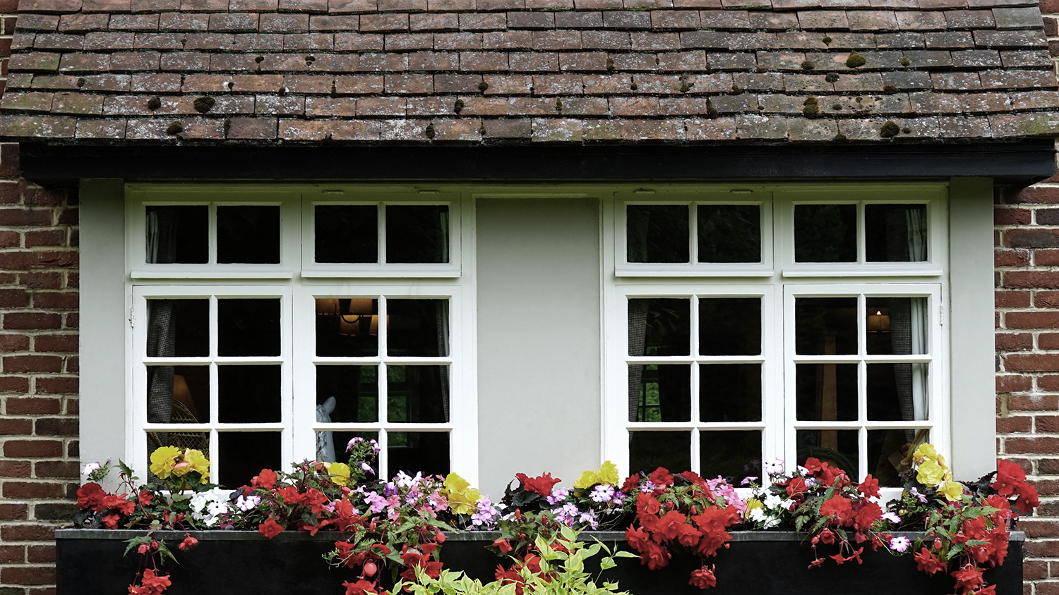 COMPOST WINDOW BOXES LEARN MORE