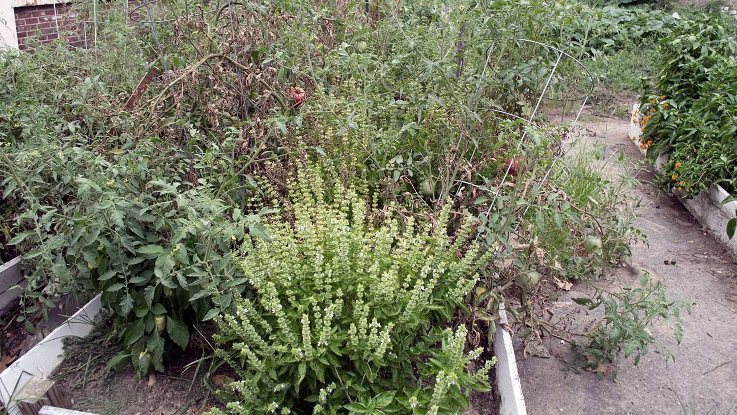 BC-WEB-BANNER-GARDEN.png