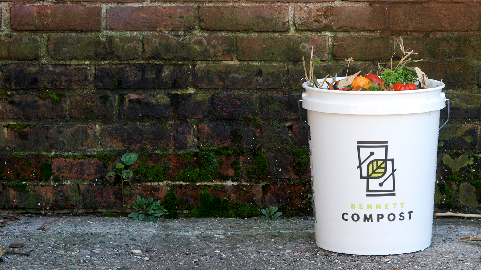 DIY Easy Kitchen Compost Bucket - One Hundred Dollars a Month