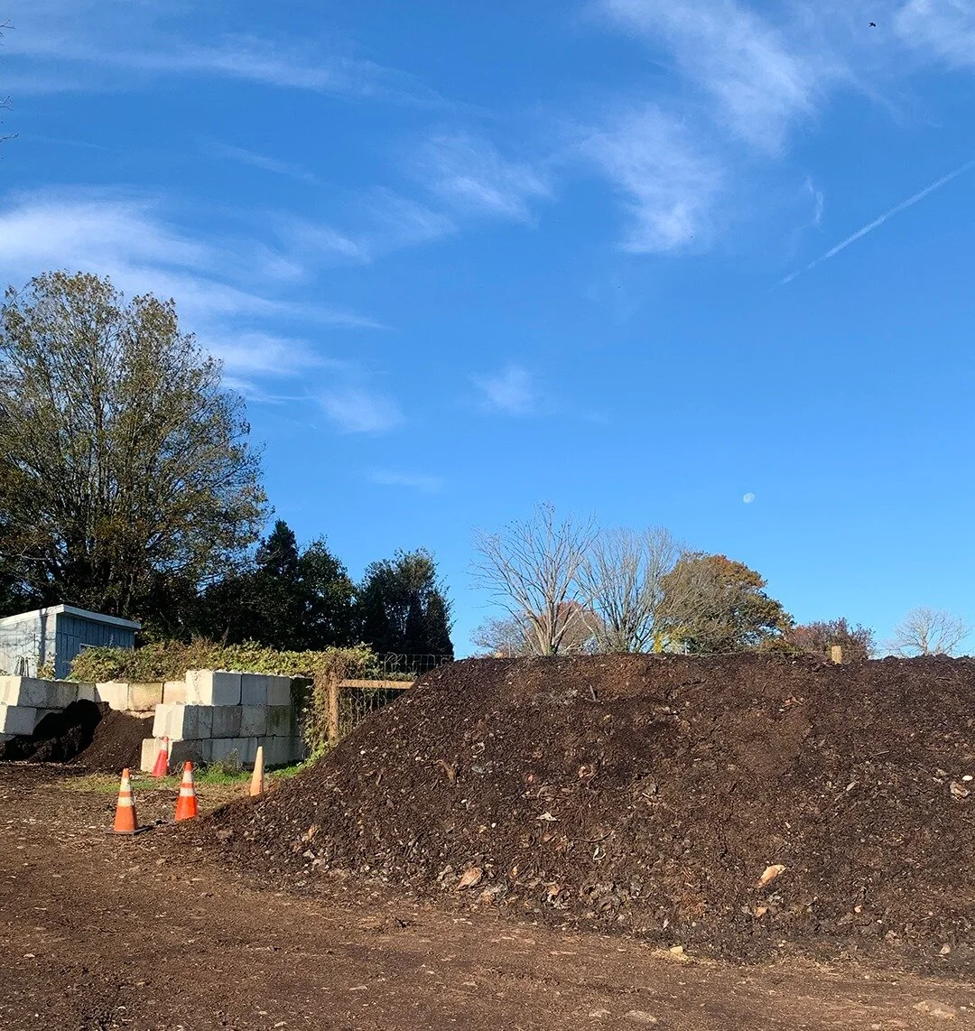 Christmas Tree Composting — COMPOST