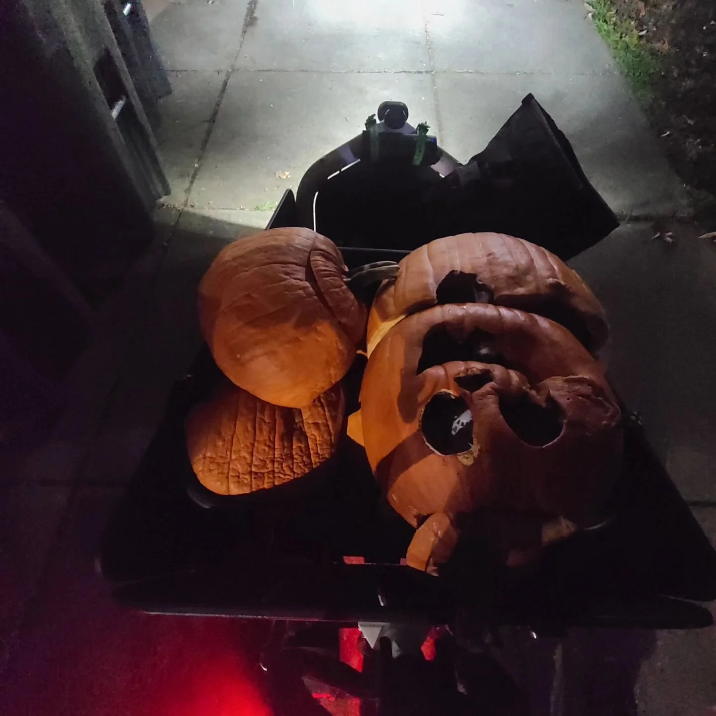 Christmas Tree Composting — COMPOST