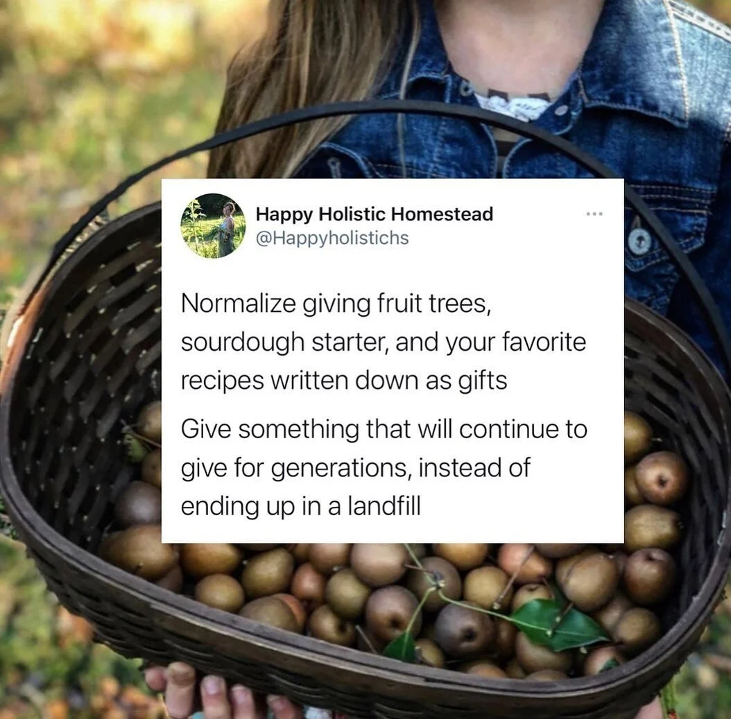 Christmas Tree Composting — COMPOST