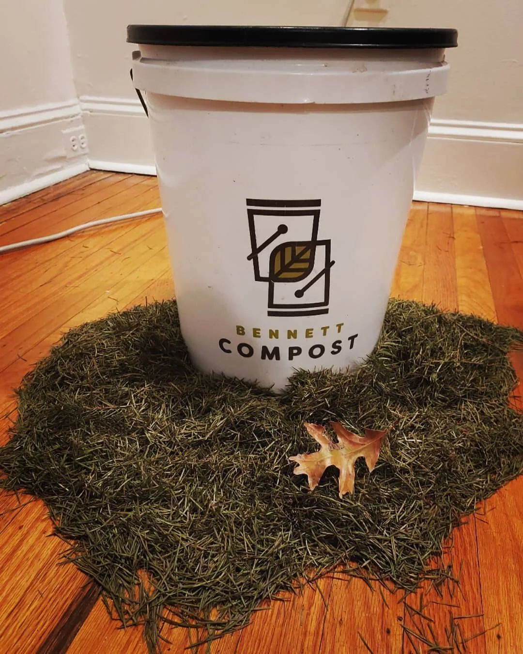 Christmas Tree Composting — COMPOST