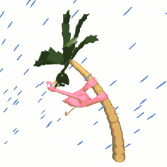 flamingo_rain_storm_wapday_com.gif_480_480_0_64000_0_1_0.gif