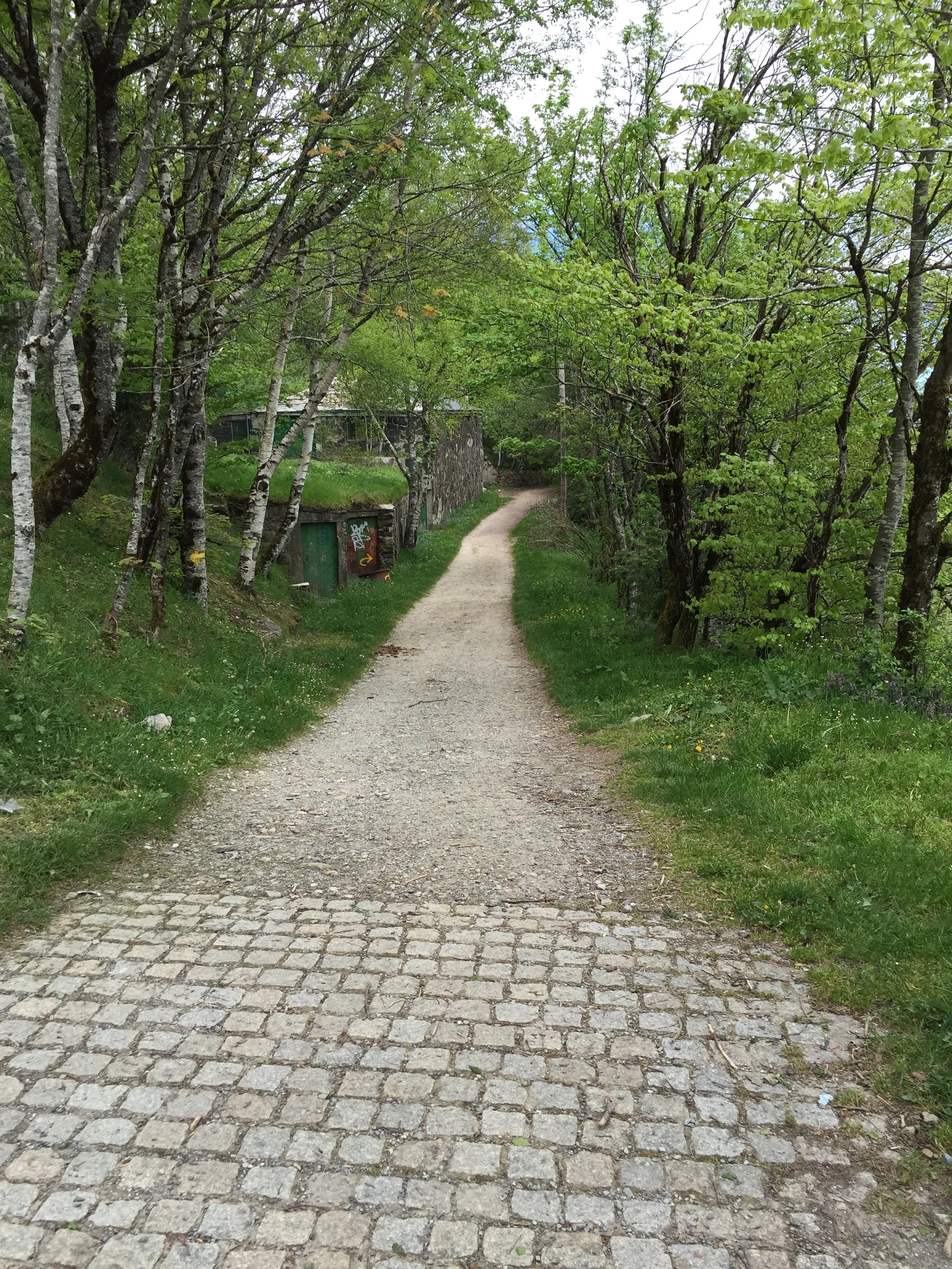 Exploring Our Lives as Pilgrimage