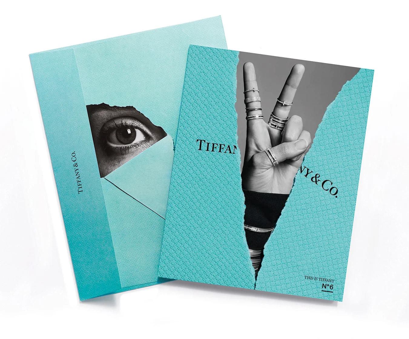 ThisIsTiffanyNo6_Cover_Spreads_Page_1.jpg