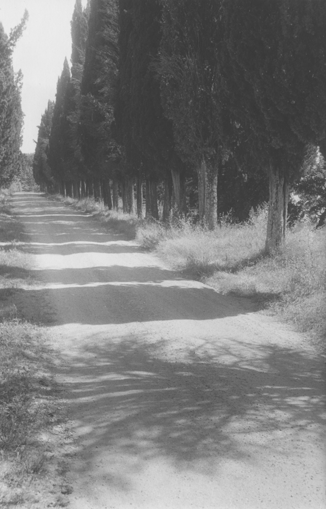 A road in Tuscany