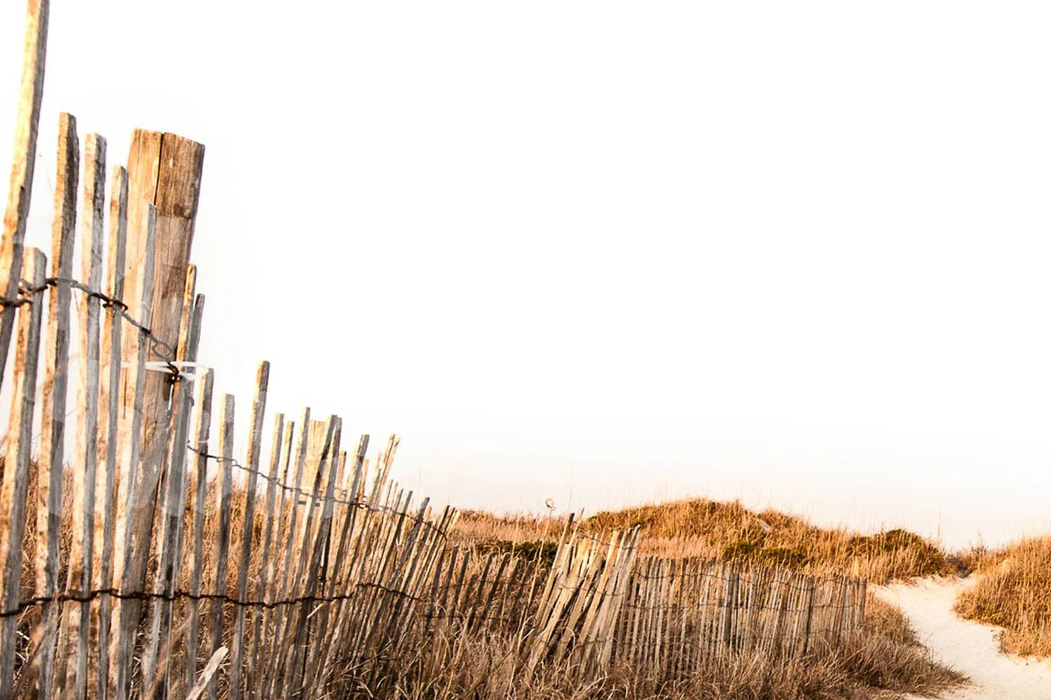 Among the Ethiopian ruins, faith and worship