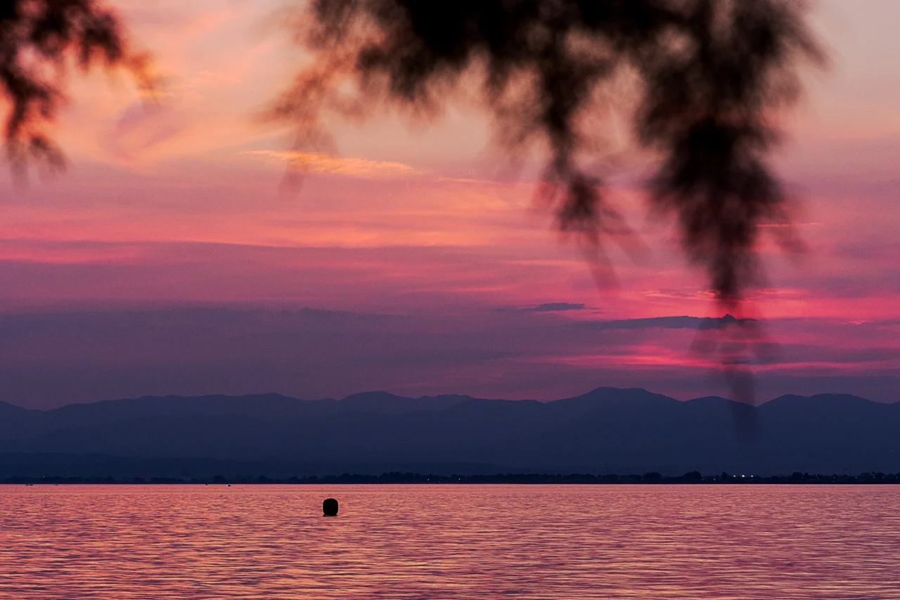 _DSC9654-Edit.jpg