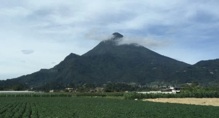  View of the Volcano, Santa Maria, from the community of Candelaria 