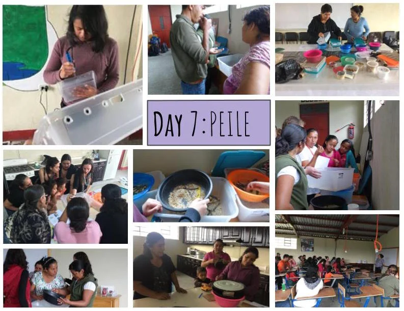  In 2016, MealFlour started to work with the organization, PEILE. This year, we built on this partnership by expanding to a second region of Guatemala, Huehuetenango (Huehue), and starting a locally lead mealworm farm experiment at their center. In Huehue, we worked with PEILE staff, teaching them the program and how to train other members of the community. The newly trained leaders hosted an open house with members of the community in Huehue, Malacatancito. Back in Xela, 7 women have taken the lead on a farm experiment, varying mealworm food with locally sourced grains. Look out for results to come. Only 6 more days to donate as part of our '12 Days of MealFlour', where all contributions are TRIPLED! 