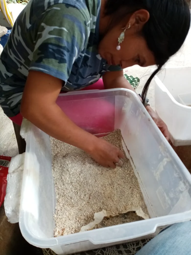 WhatsApp Image 2019-06-19 at 6.41.09 PM.jpeg