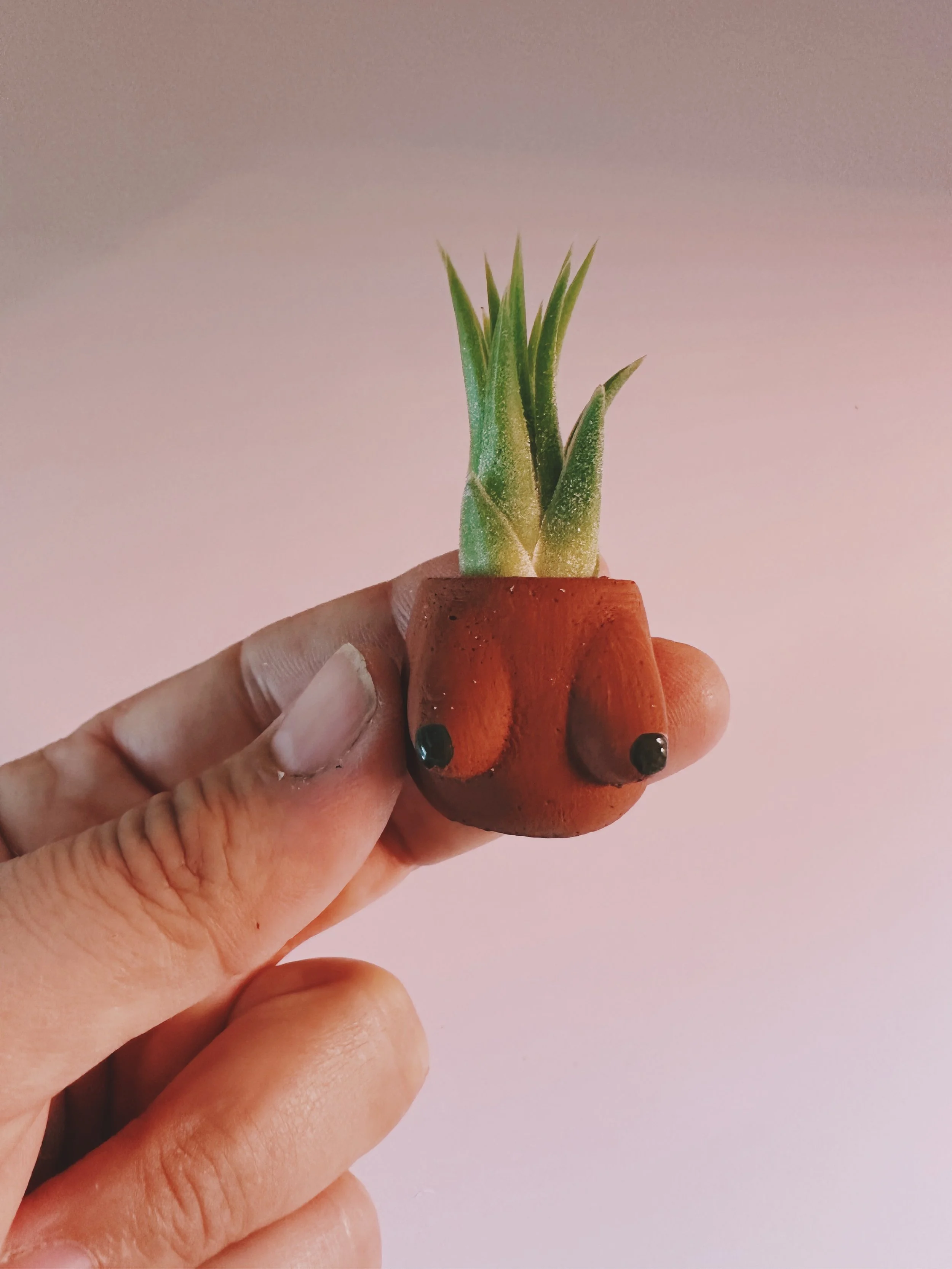 Lisa Mini Boob Pot Planter and