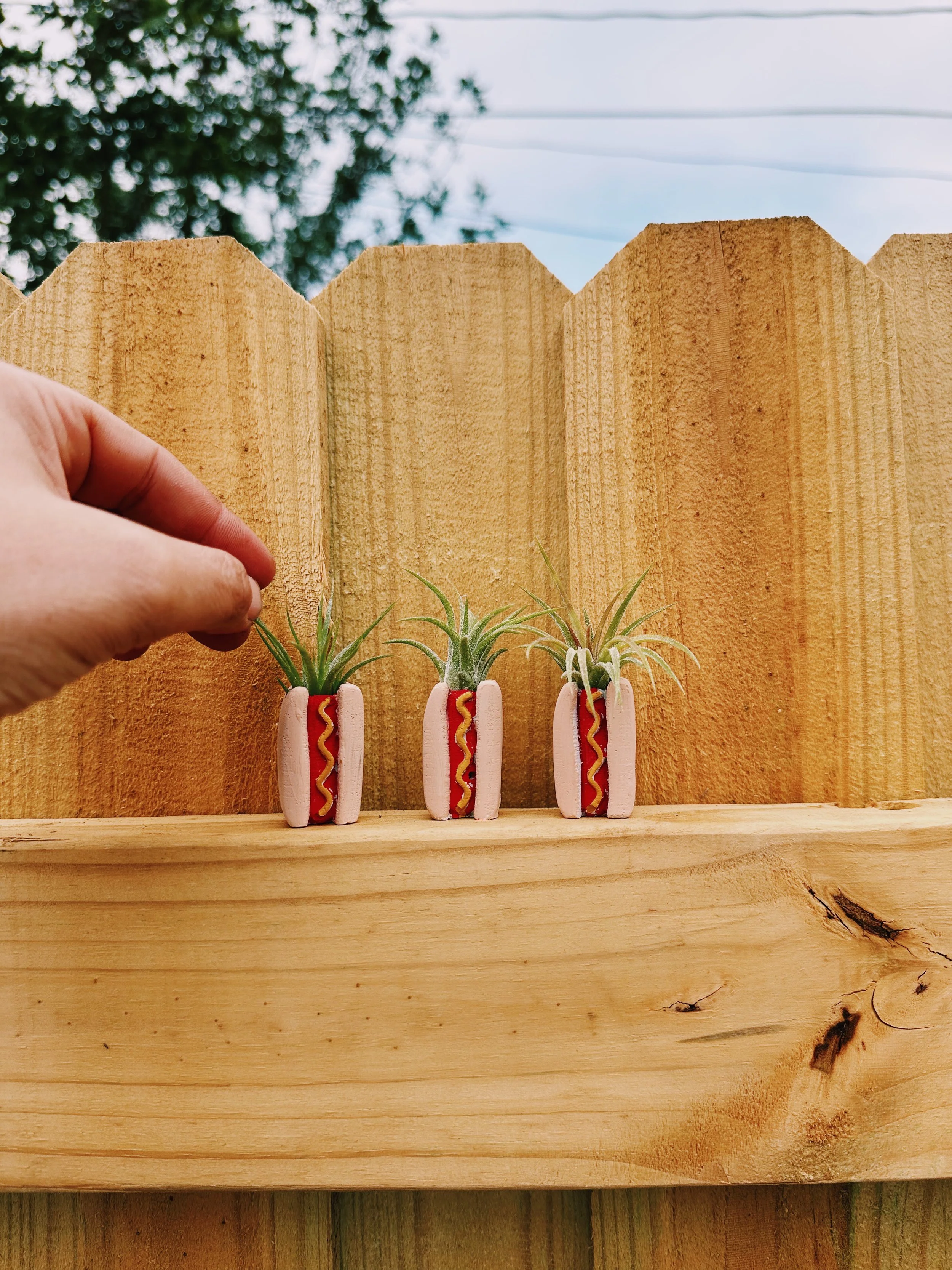 IMG_8028_VSCO (1).JPEG