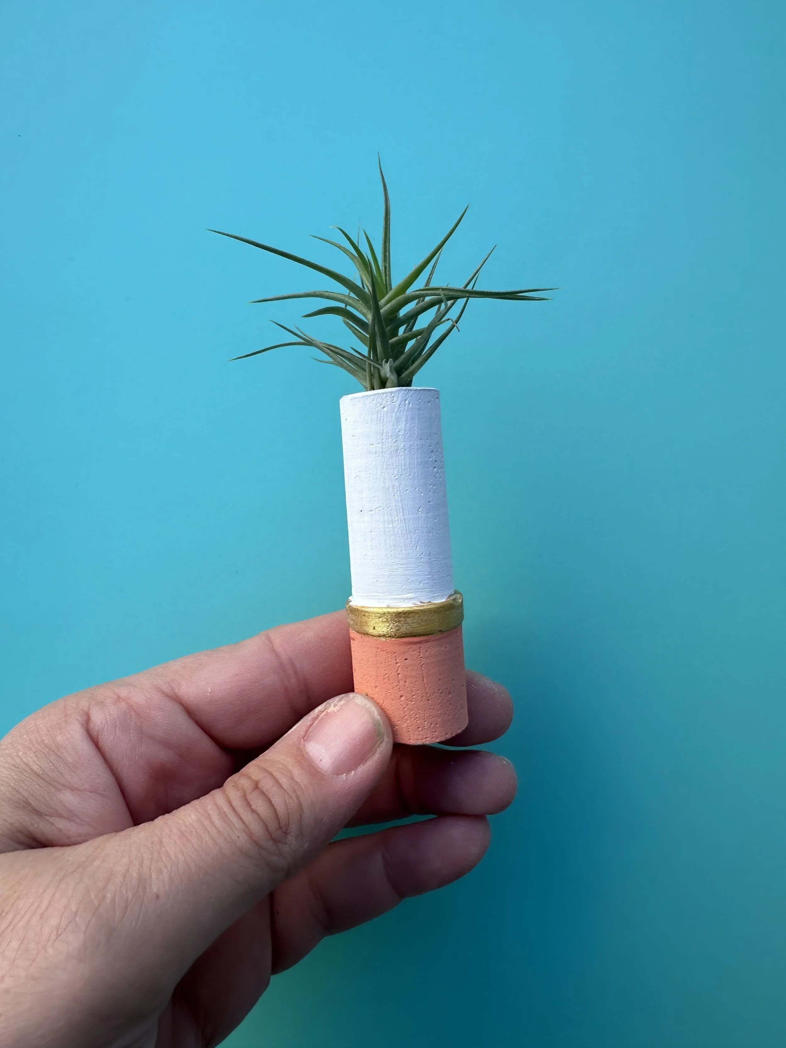 Cigarette Mini Plant pot with Air Plant