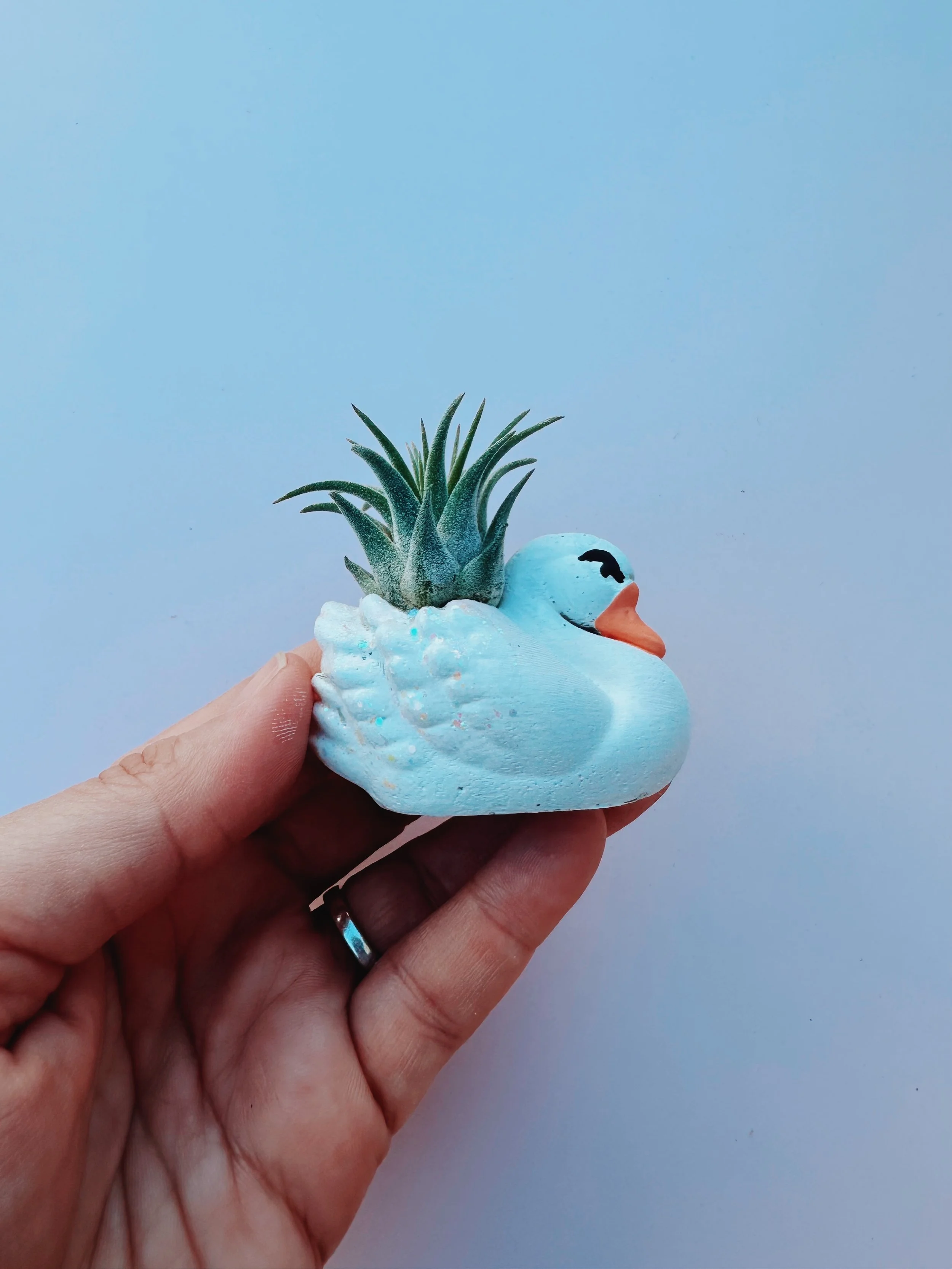 White Swan Mini Planter with Air Plant