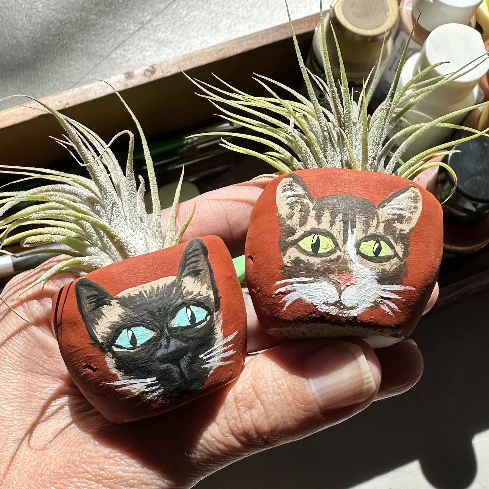 Custom Pet Portrait Plant Pot and Plant