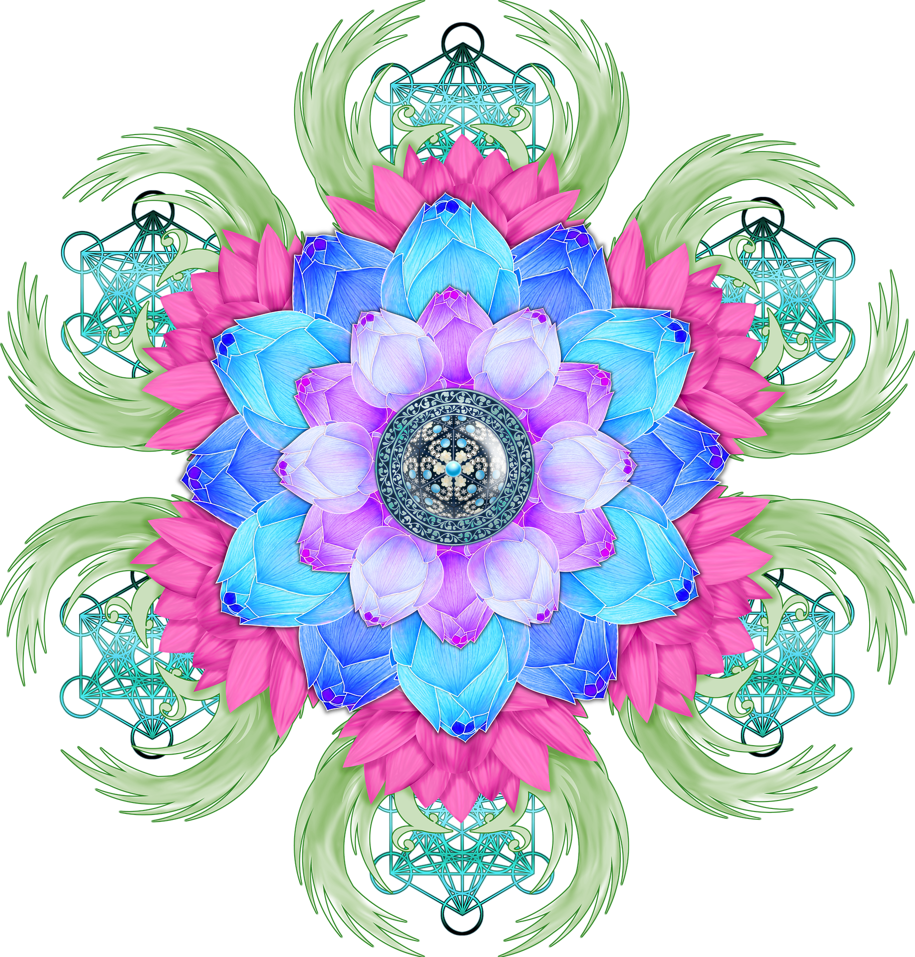 lotus-flower-3650472_1920.png