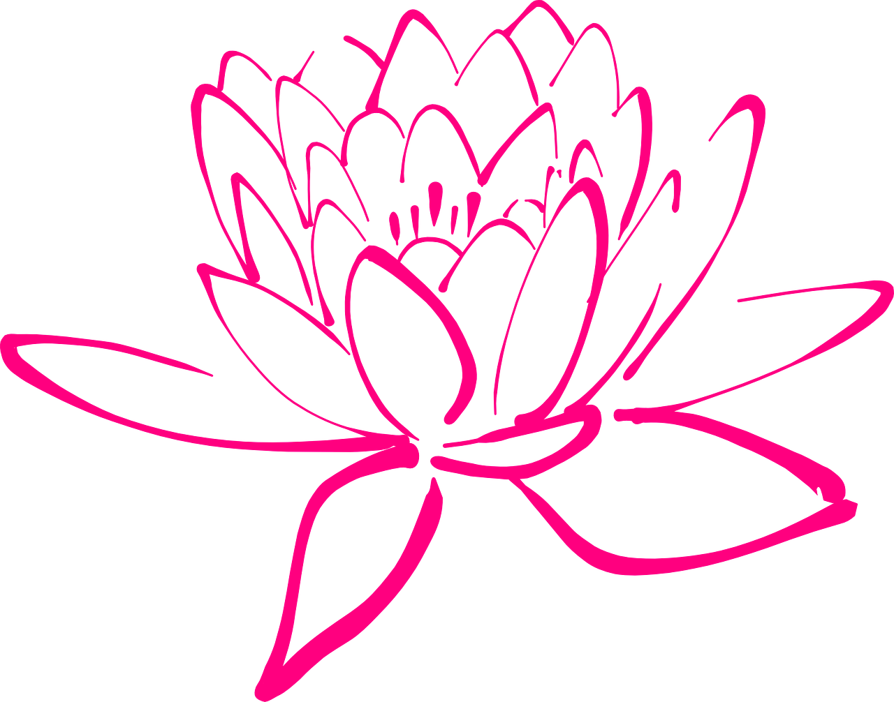 Lotus.png