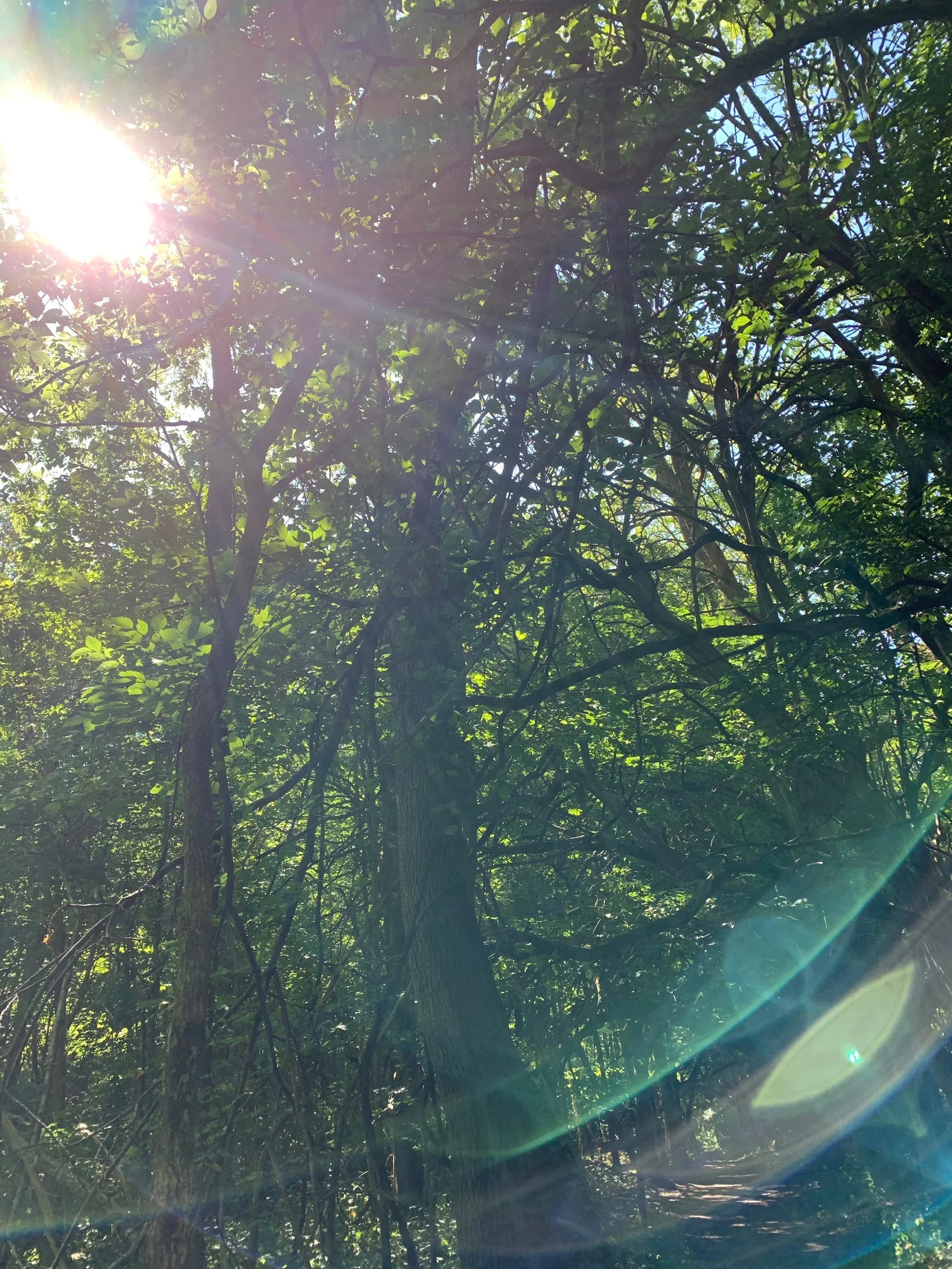 A Sweet trip in Nature: Sugar Creek Park