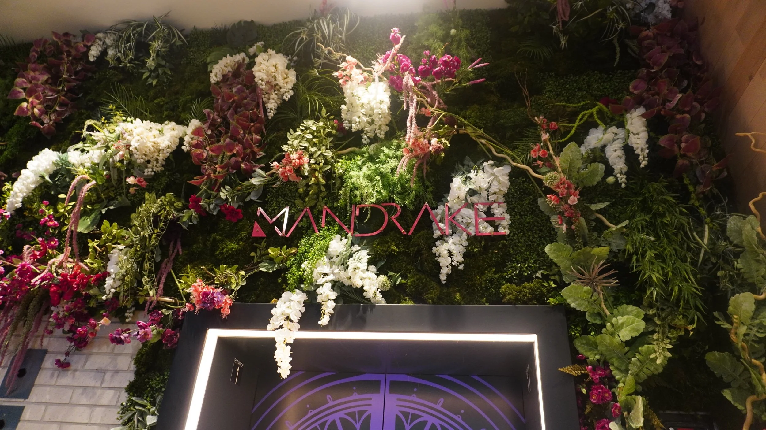 Restaurant Review: Mandrake