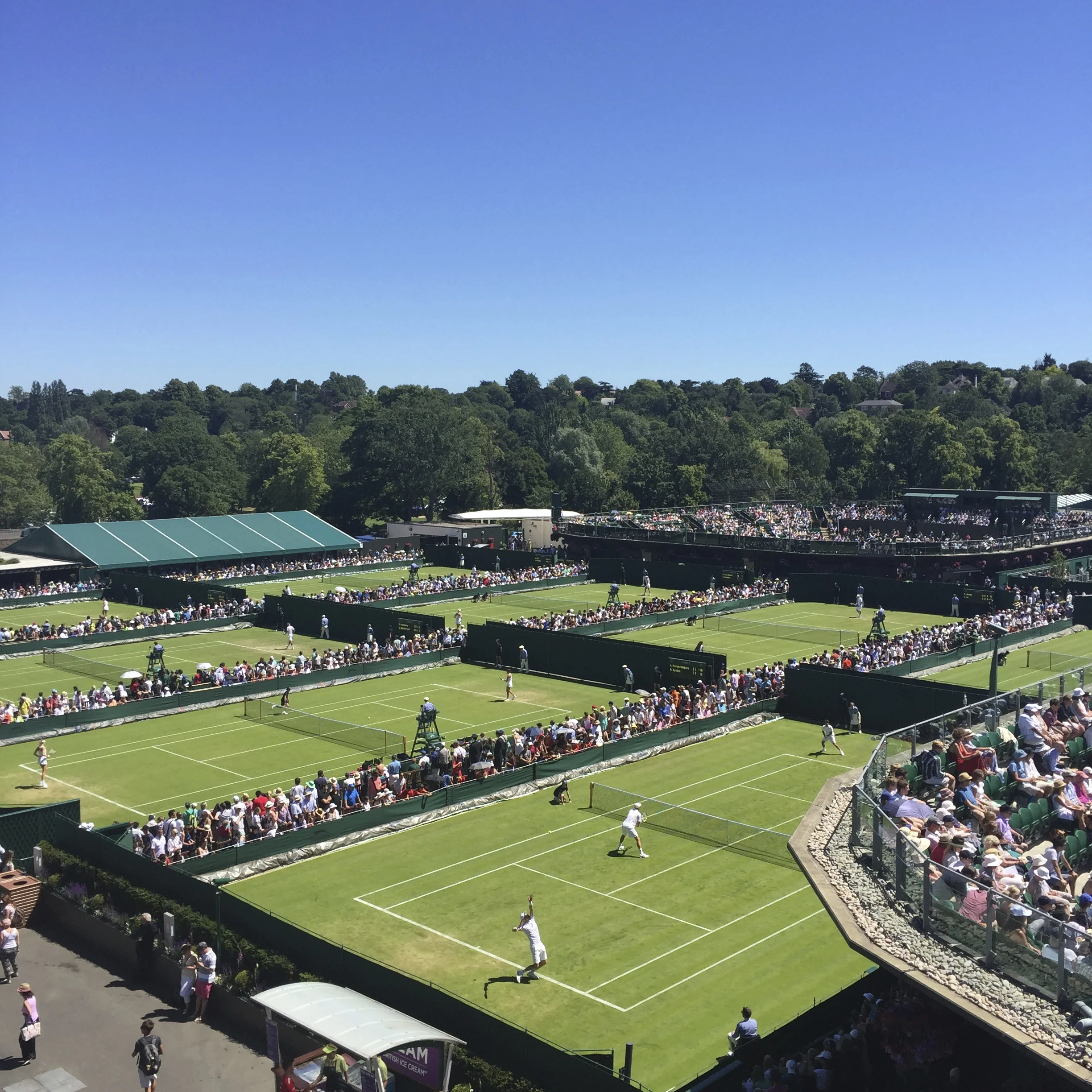 Wimbledon