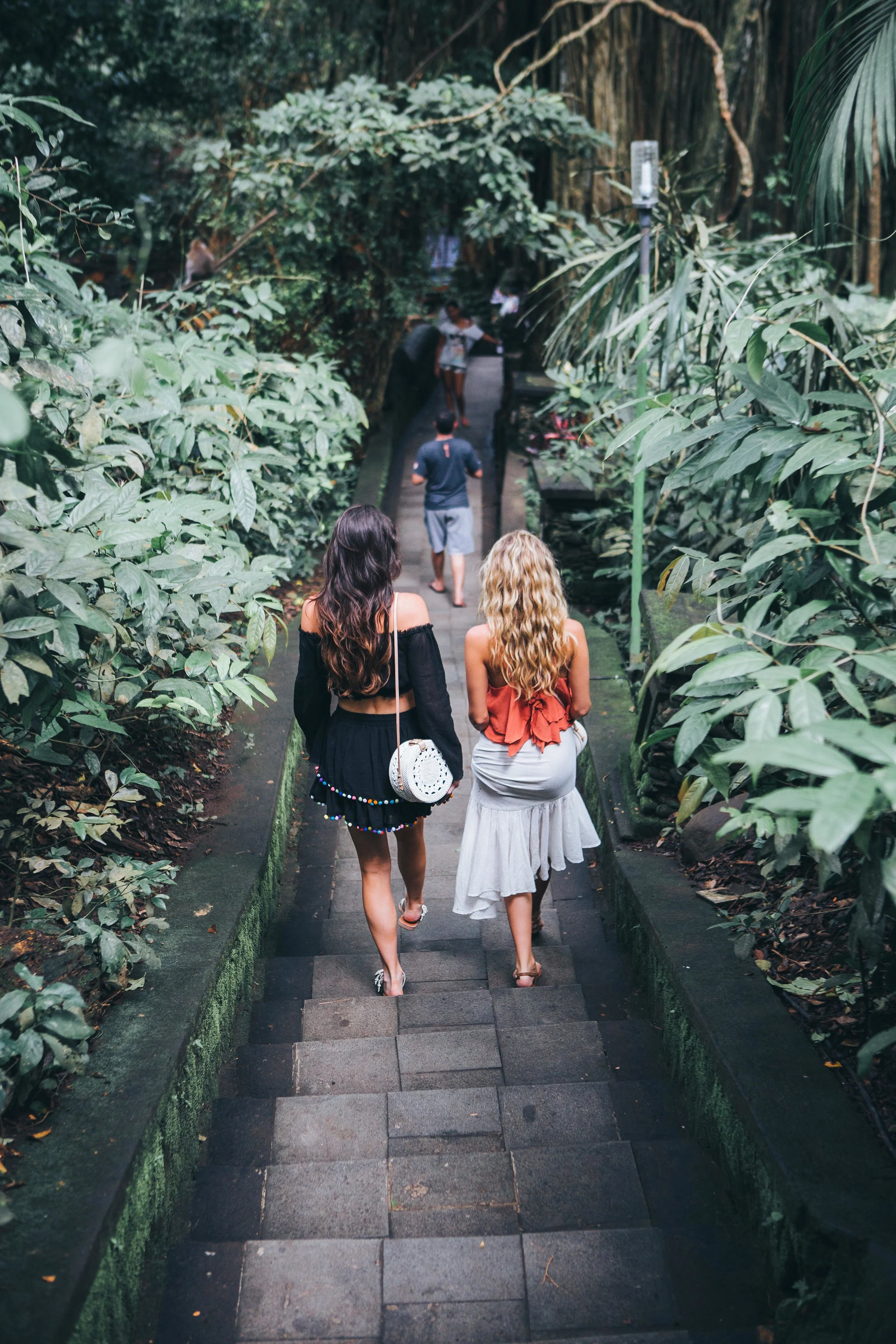 Bali monkey forest.jpg