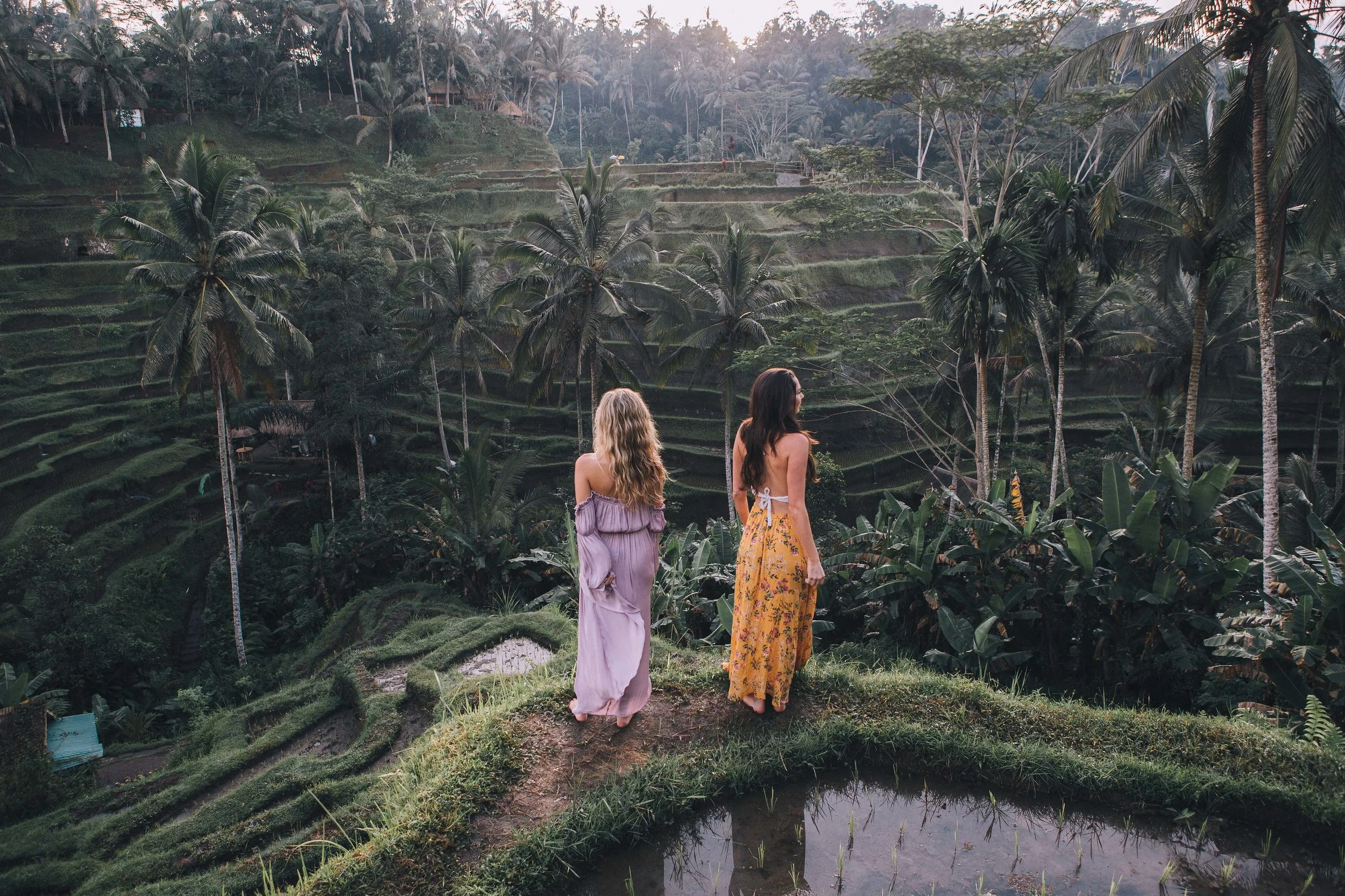 Bali rice terrace.jpg