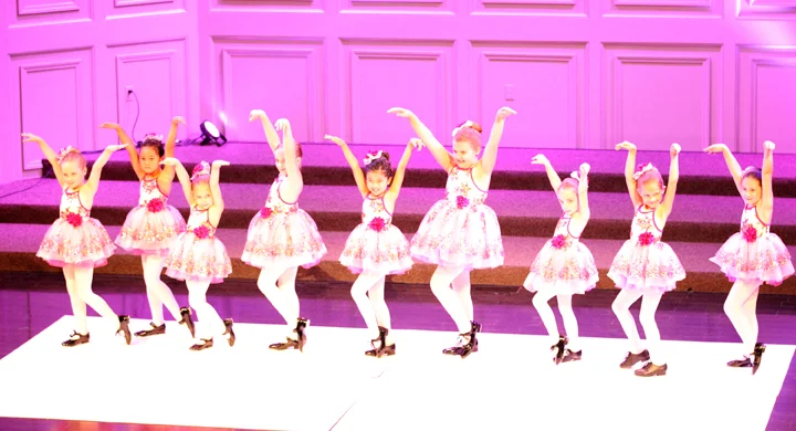 020-2017 wildwood lower div. recital.jpg