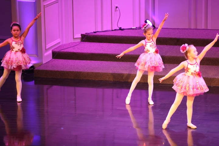055-2017 wildwood lower div. recital.jpg