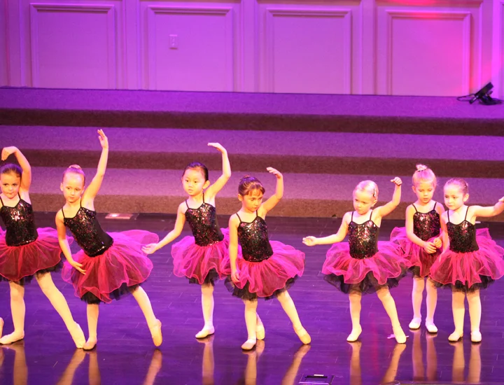 078-2017 wildwood lower div. recital-.jpg