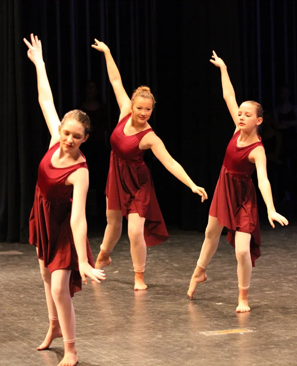 214-2017 wildwood upper div. recital.jpg