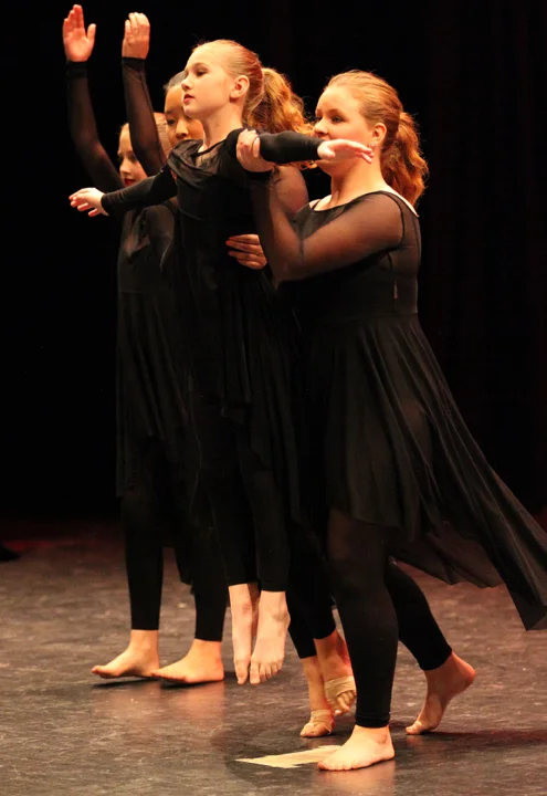 224-2017 wildwood upper div. recital.jpg