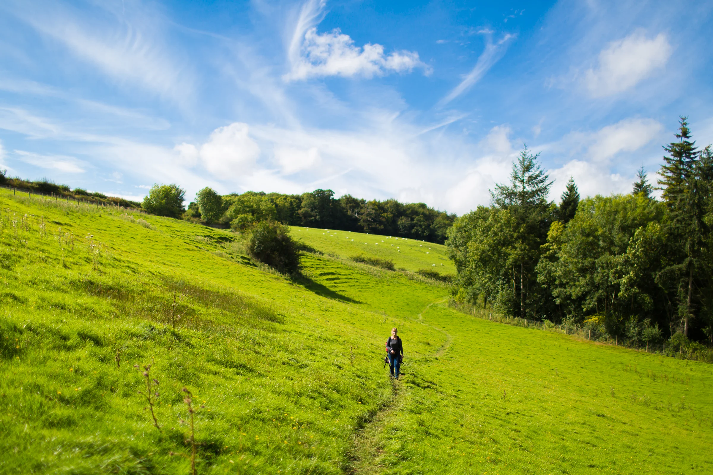 1112e-nantmill_walknantmill_walk.jpg
