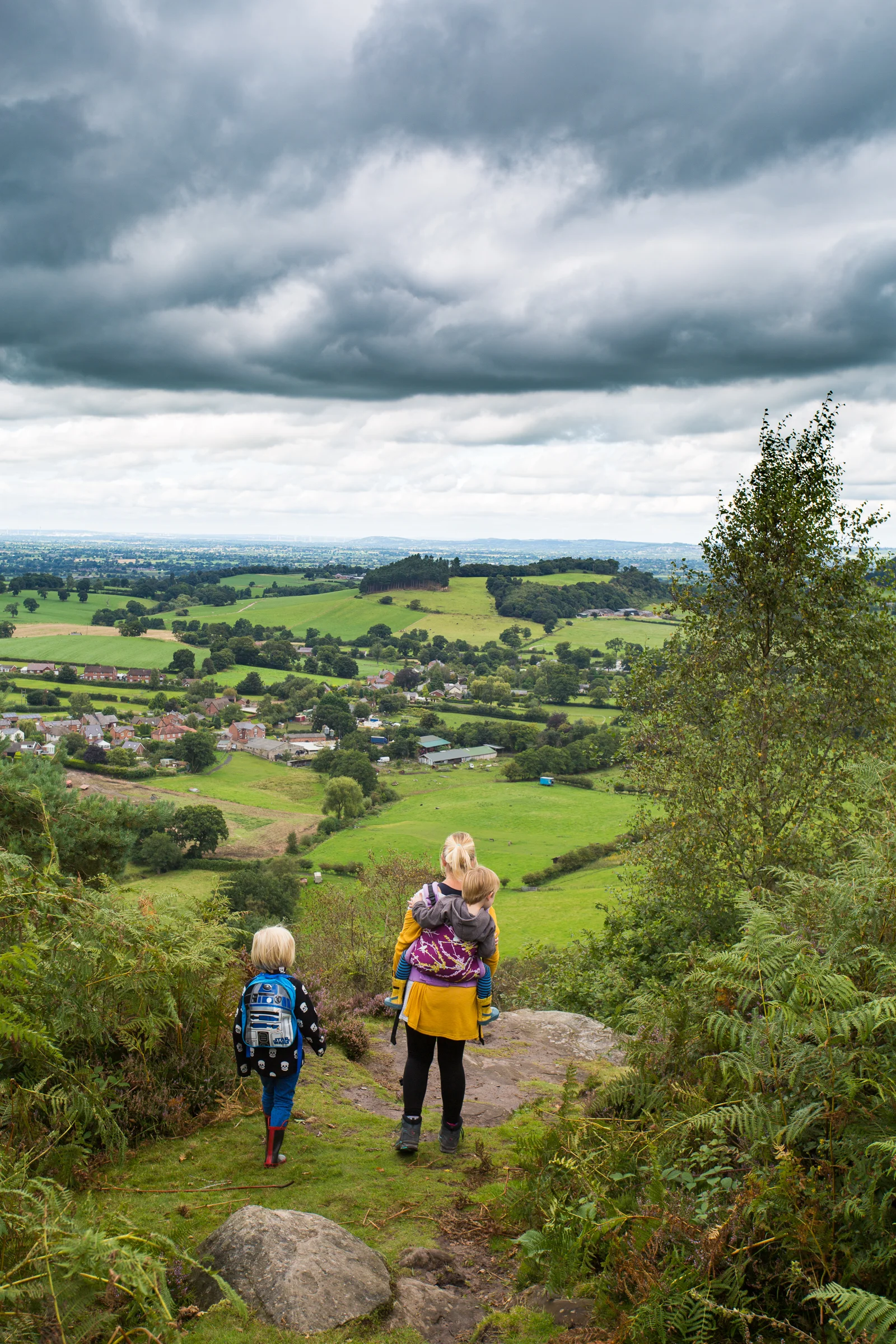68599-bickertonhill_sandstonetrailbickertonhill_sandstonetrail.jpg