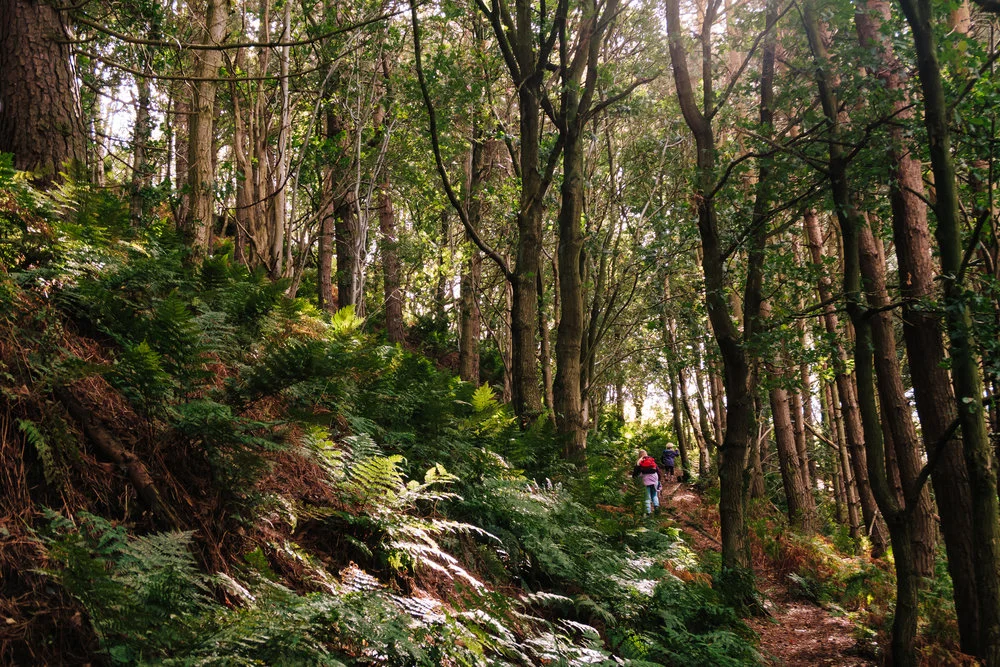 b6976-img.jpg