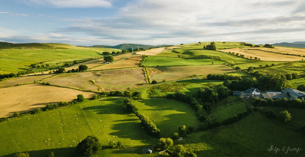 556c5-dji_0041.jpg