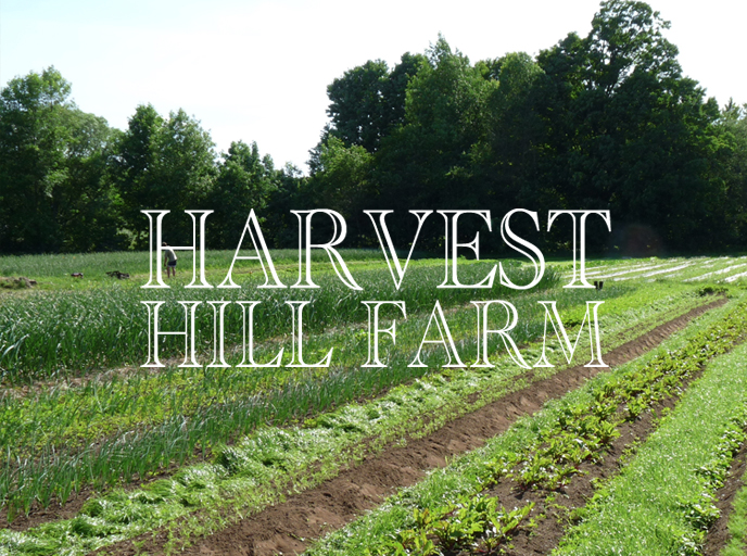 Harvest Hill Farm