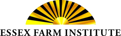 Essex Farm Institute (EFI) supports, promotes, and trains farmers to build resilient diversified farms that are economically viable, socially responsible, and environmentally beneficial. EFI support and parallels the mission of the Hub On The Hill in their aim to foster new growth in agricultural economies.
