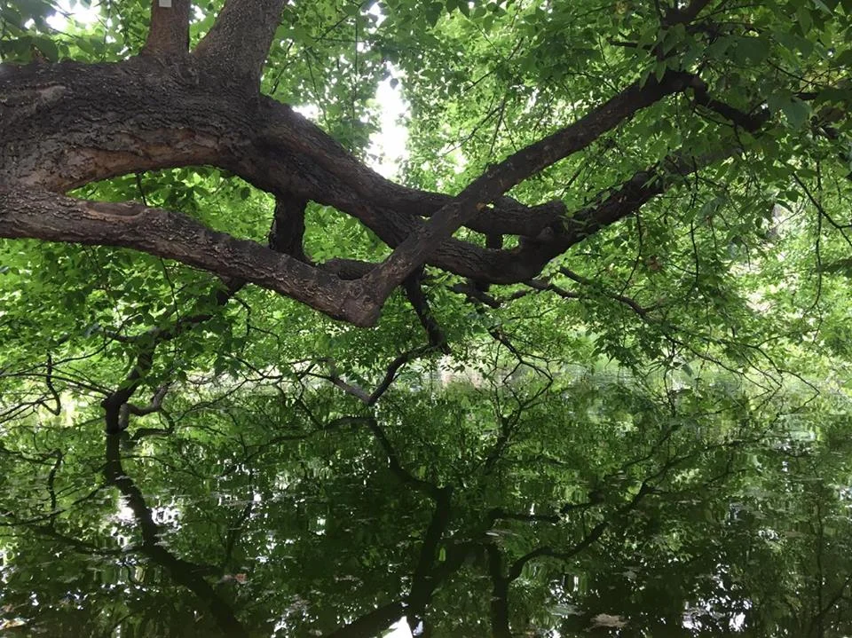 Day 24: Taking it Easy