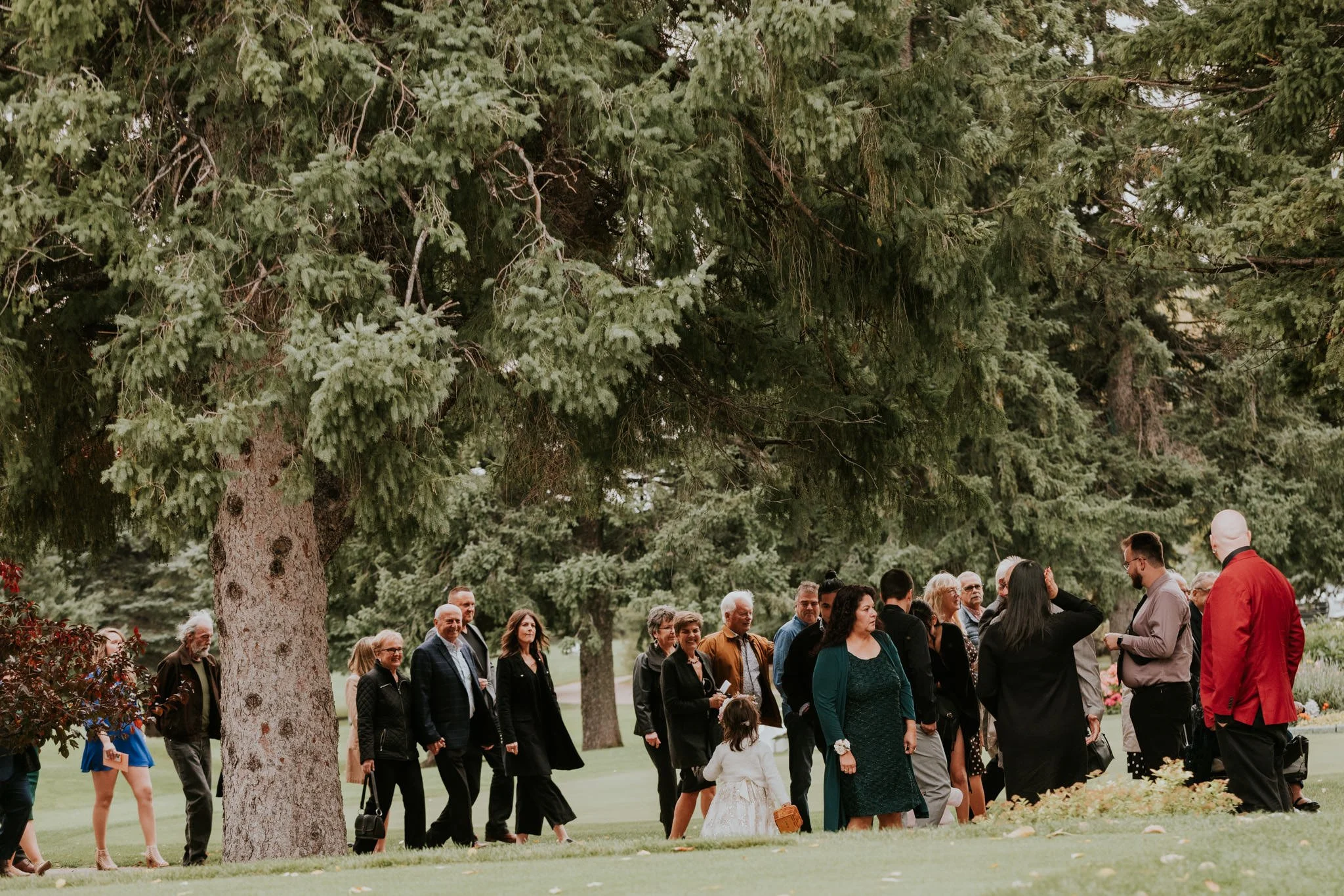 elmhurst-golf-and-country-club-wedding-65.jpg