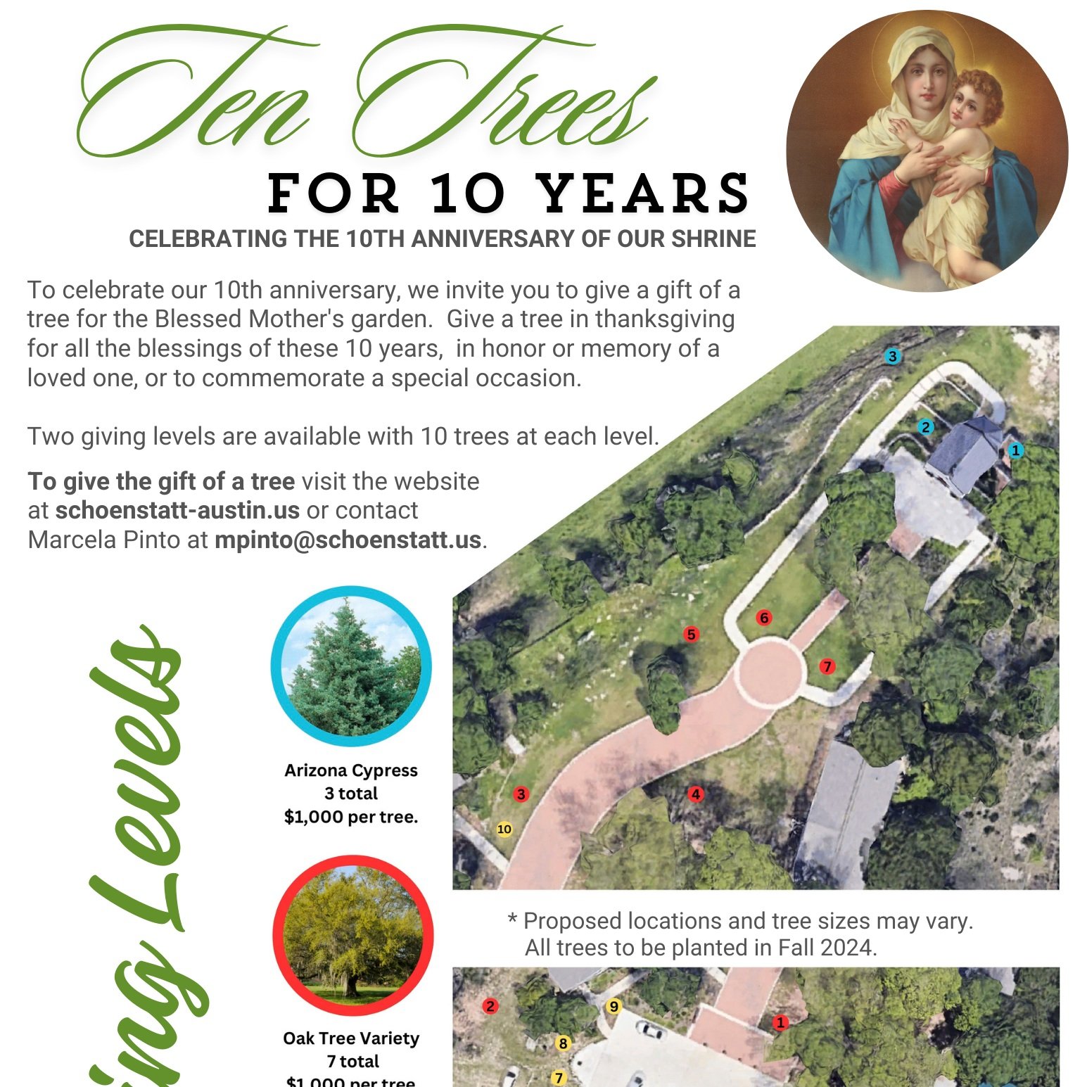 10 Trees for 10 Years
