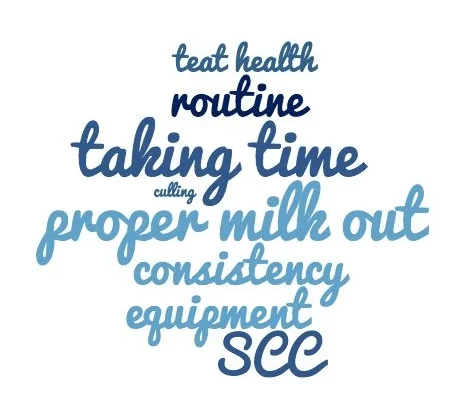 Key themes surrounding how to prevent mastitis.