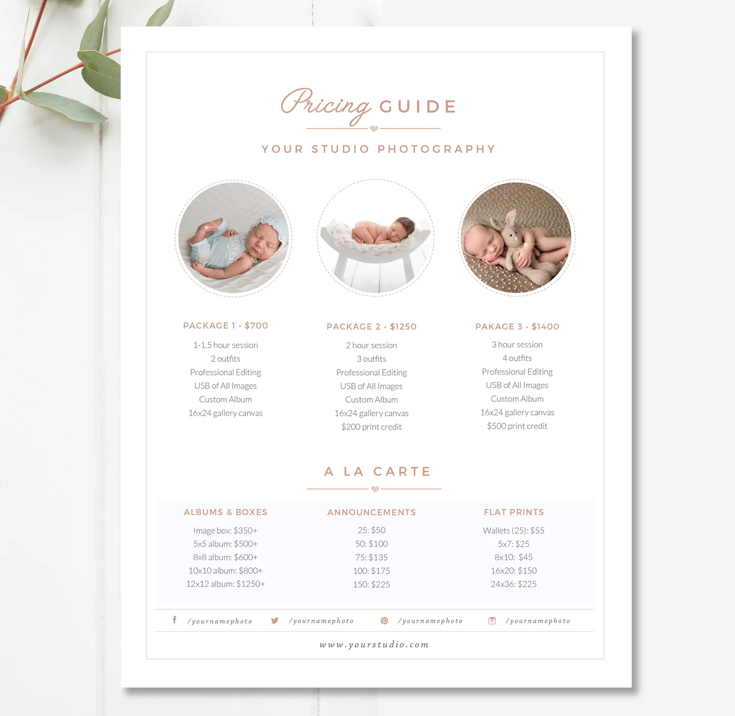 Newborn Pricing Template - Photography Pricing Guide — By Stephanie Design