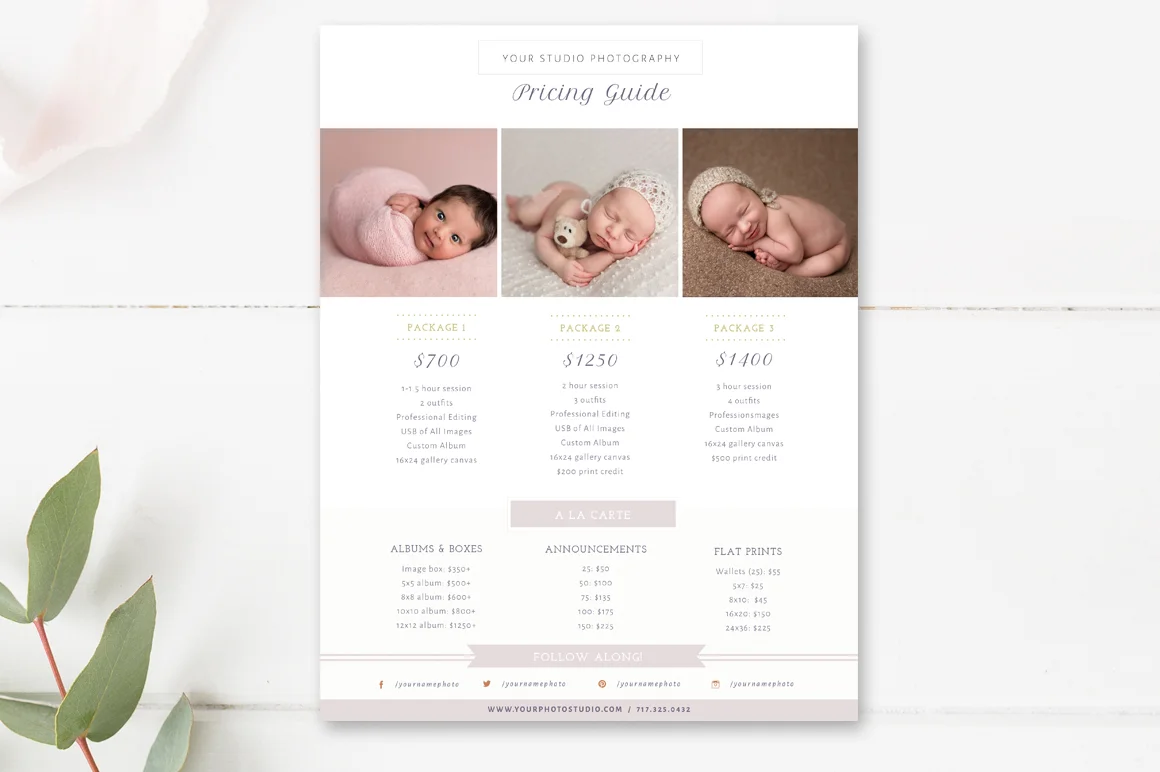 Newborn Photographer Pricing Guide Template - Photographer Templates